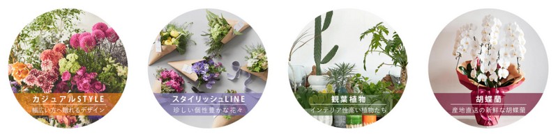 ����,�o�Y,�A�E,�J�X�j���w�t�����[�M�t�g�x���T�C�g